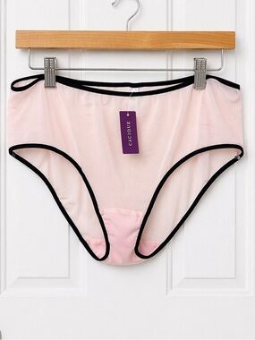 Cacique Pink Mesh Hipster Panties Black Trim Plus Size 18/20 NWT